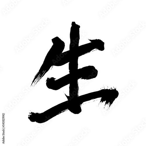 Japan calligraphy art【Raw・crude・unprocessed・원시】日本の書道アート【生・生きる・なま・ナマ・せい・しょう】／This is Japanese kanji 日本の漢字です／illustrator vector イラストレーターベクター