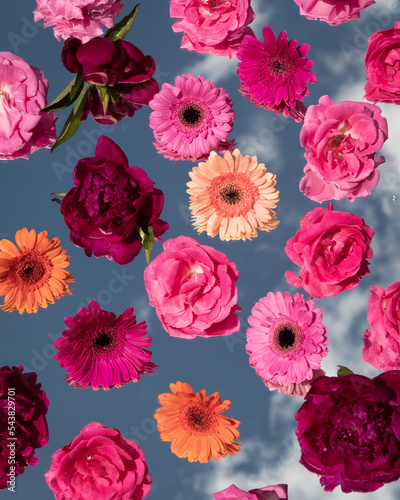 abstract art of red and pink roses and gerber flowers on mirror reflecting the blue sky photo