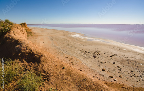 Pink lake Sasyk-Sivash in Crimea. 