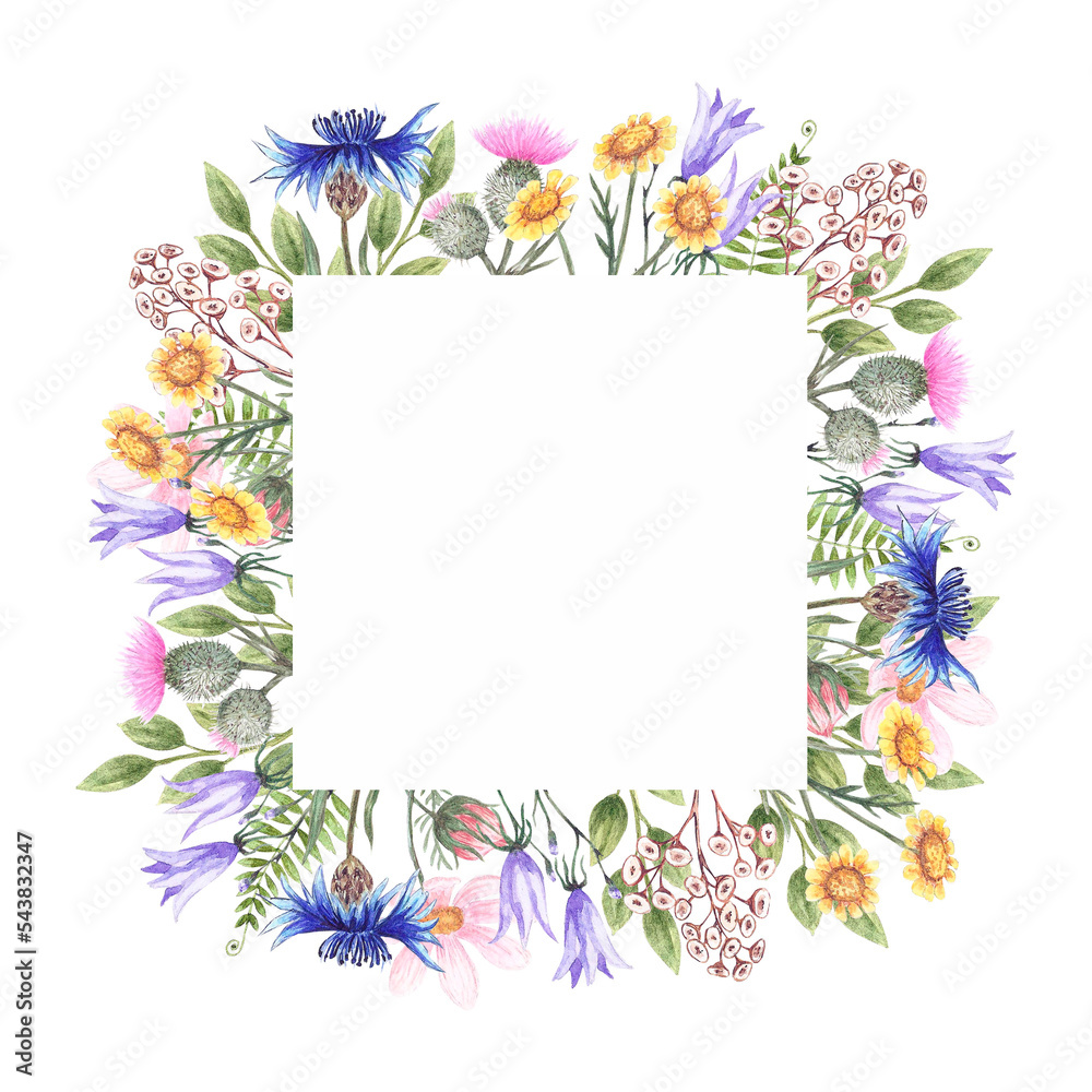 Watercolor frame with wildflowers chamomile, thistle, poppy, bell, cornflower and herbs.  Square frames for the design of wedding invitations, gift cards, labels.