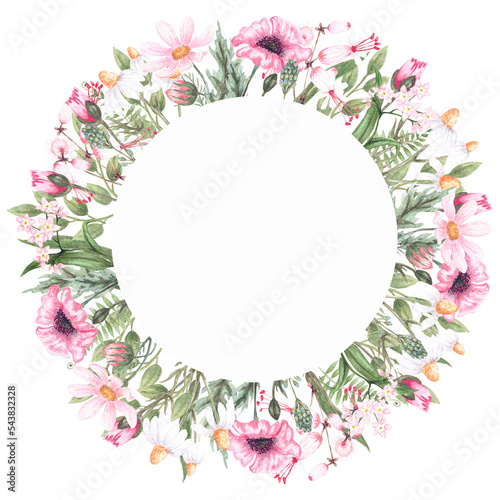 Watercolor frame with wildflowers chamomile, thistle, poppy, bell, cornflower and herbs. Round   frames for the design of wedding invitations, gift cards, labels.