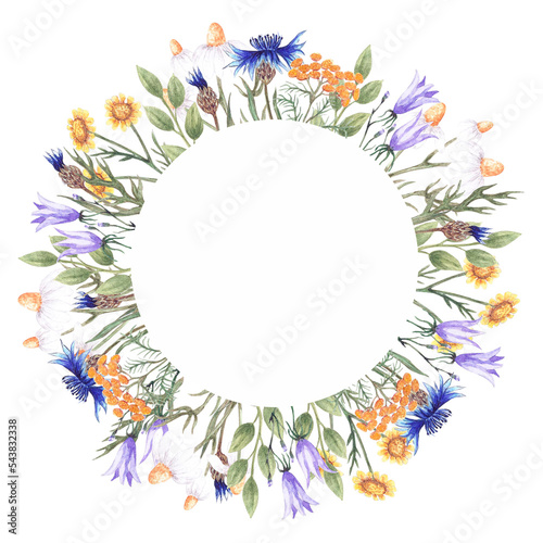 Watercolor frame with wildflowers chamomile, thistle, poppy, bell, cornflower and herbs. Round   frames for the design of wedding invitations, gift cards, labels.