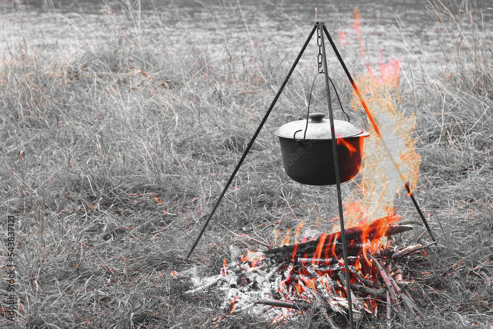 cooking delicious tasty food outdoors on fire in iron pot in summer in good weather with wood from forest cooking delicious tasty food outdoors on fire in iron pot in summer in good weather with wood from forest
