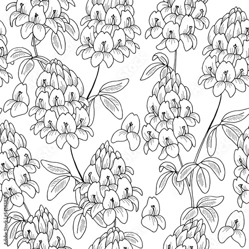 Alfalfa flower seamless pattern background graphic black white sketch illustration vector 