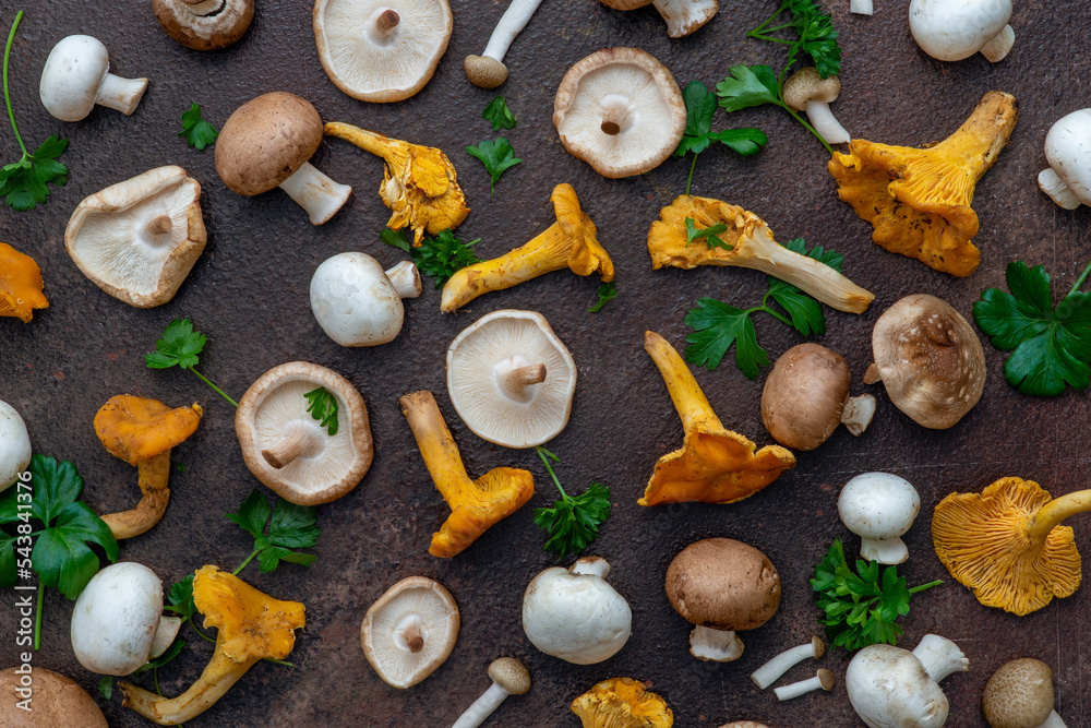 different types of edible mushrooms, chanterelle, champignon, shiitake ...