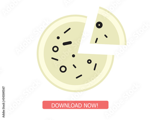 Pizza icon vector illustration design, fully editable and ready to use