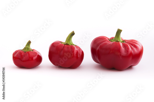 Three red peppers lined up in order of growth on a white background