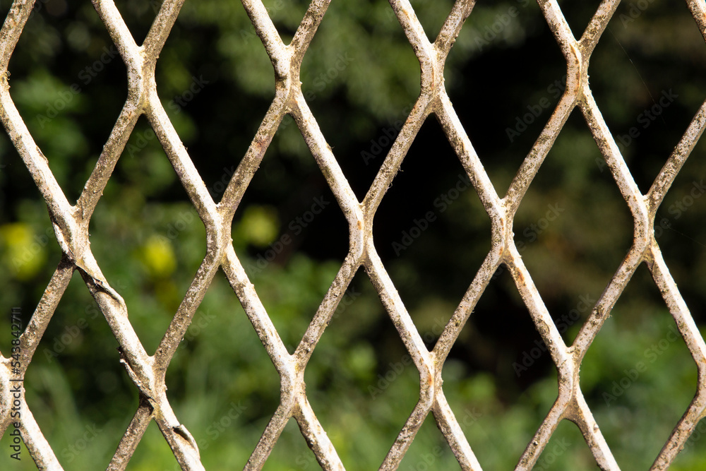Fototapeta premium 金網2