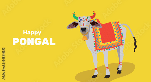 Happy religious holiday Pongal with South Indian holiday background and Happy Pongal. Vector illustration. Tamil Nadu festival, South India. Sacred Indian cow. buffalo zebu