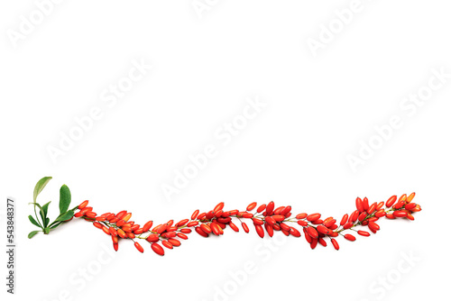 Red barberry branches isolated on white background, top view. Ripe fresh sour-tasting berries with green leaves, healthy seasoning for food. Barberry twigs, natural vegan food, medicinal plant