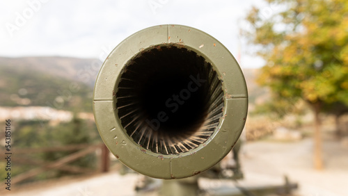 cannon in the park