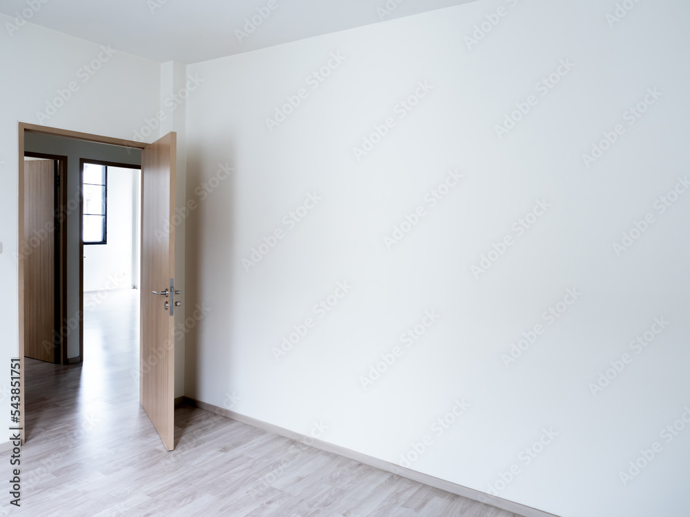 Blank white wall background in the empty room near the wooden opened door with copy space. White wall space background in the new home.