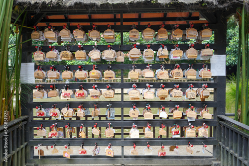 Tokyo, Japan - October, 2022 : Wooden prayer cards at the Meiji Jingu Shrine. Meiji Jingu Greeting Cards. Choose your ema: these are wooden tables you can write wishes on for the future. 