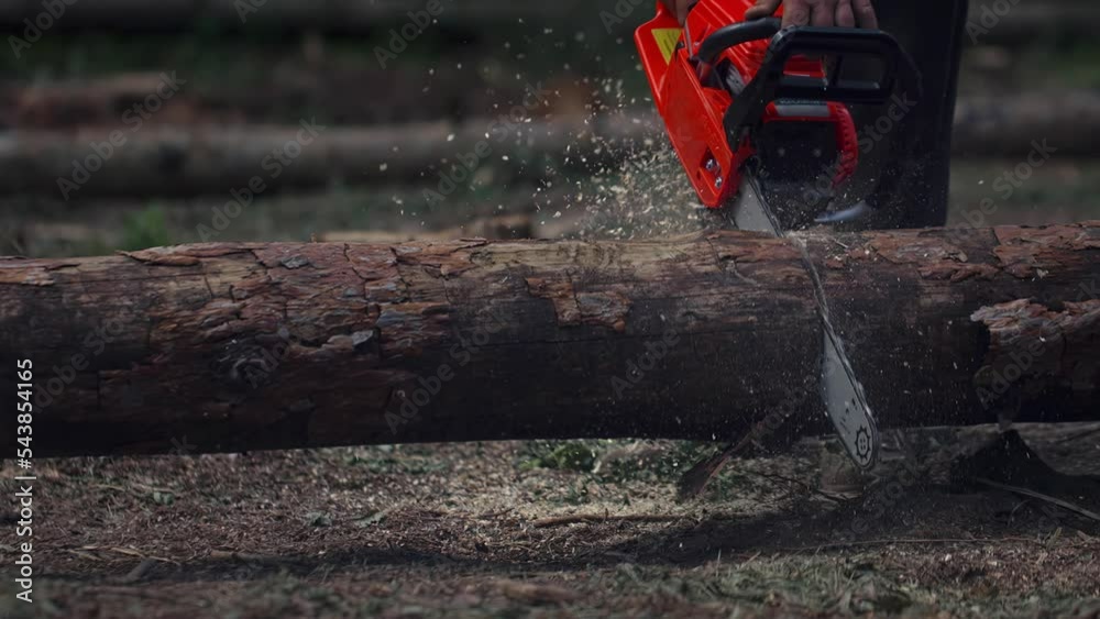 Man sawing wood with a chainsaw with a lot of flying chips and slivers. Lumberjack cut trees using an electrical chainsaw. 