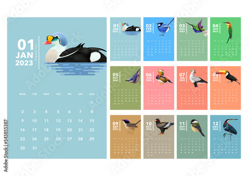 Calendar 2023 , calendar birds design , color background week start Sunday template vector.