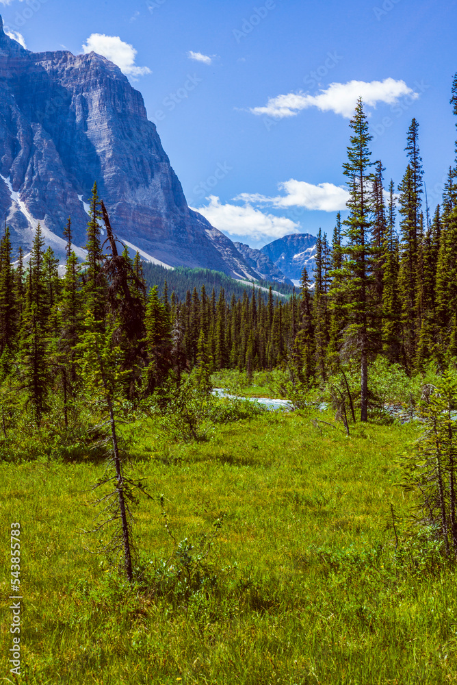 Hiking to Lake Annette in Banff National Park, passing forests and rivers