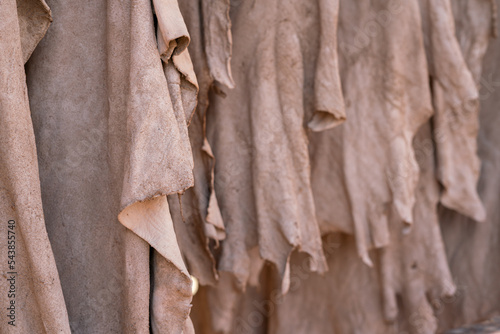 Cow's hides hanging to dry in the chouara tannery in the old medina of Fez photo