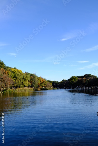 On a fall day, trees beginning to change color, a park with a pond
