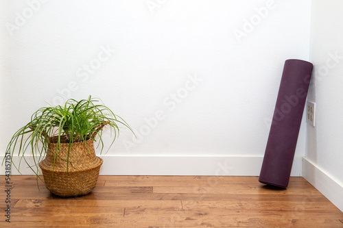 Ponytail Palm in a basket planter with yoga mat against the white wall