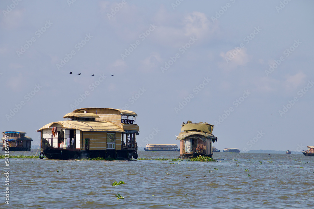 house boats @ Allepey, Kerala, India