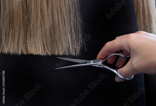 Woman hairdresser cuts the blonde hair, scissors in female hands close up. Haircut concept, barber shop with close range, horizontal on black background