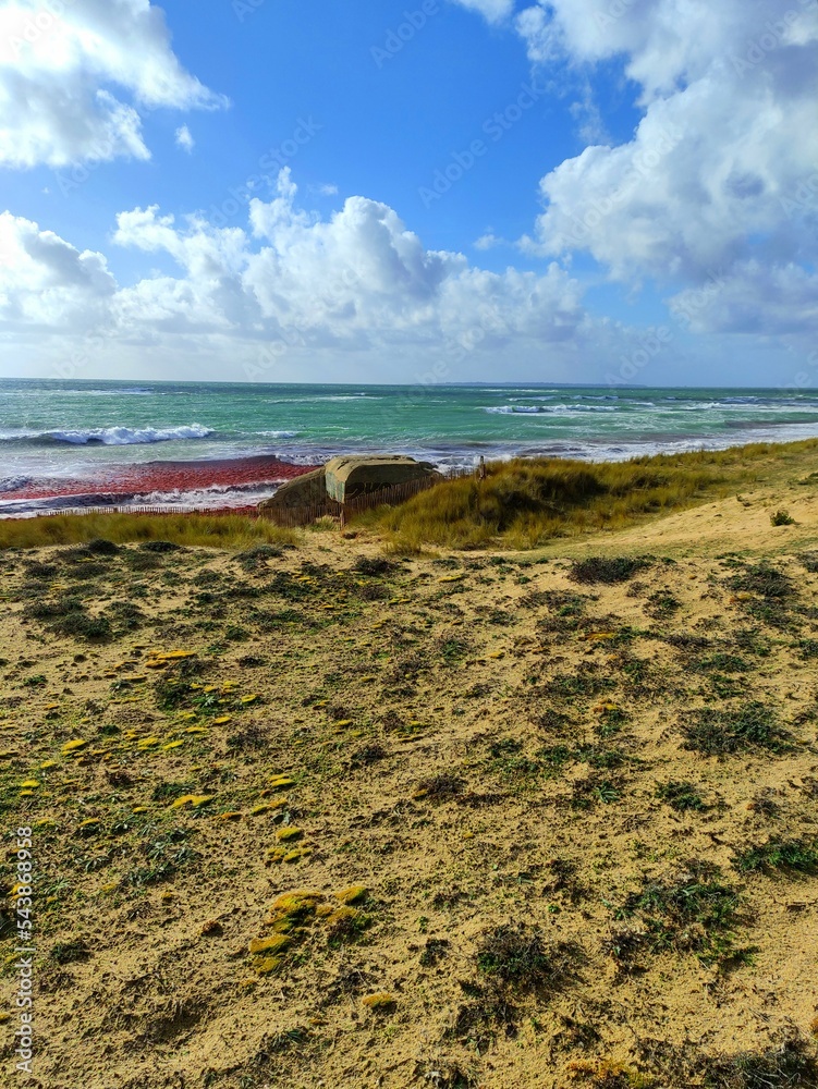 Belles Dunes de Plouhinec, Plage du Magouëro. La flore des dunes