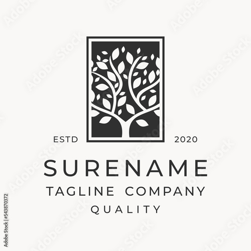 modern elegant abstract tree square framed logo vector design custom logo design vector illustration for real estate