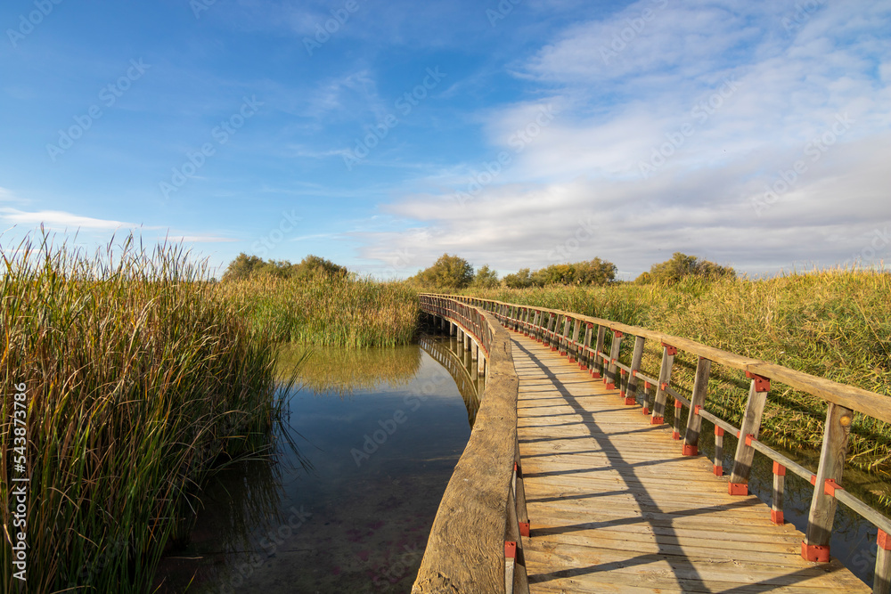 Wooden footbridge over the seasonal lagoon of Tablas de Daimiel National Park in
Ciudad Real, Spain