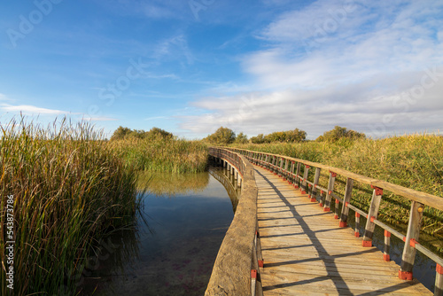 Fototapeta Naklejka Na Ścianę i Meble -  Wooden footbridge over the seasonal lagoon of Tablas de Daimiel National Park in
Ciudad Real, Spain