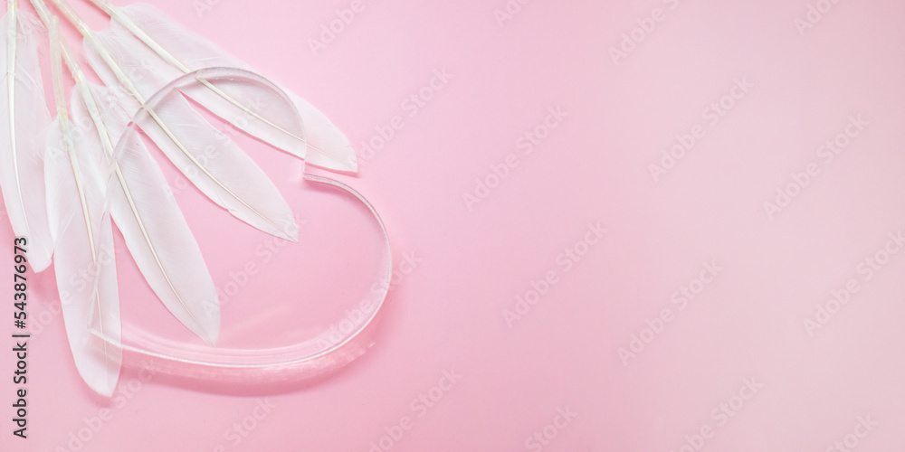 Transparent glass heart and white feathers on delicate pink background. Banner, valentine, postcard