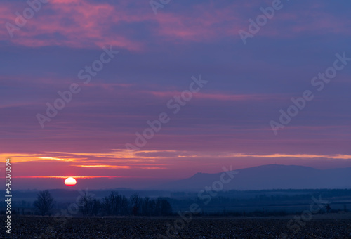 Sunrise in vineyards under Palava  Southern Moravia  Czech Republic