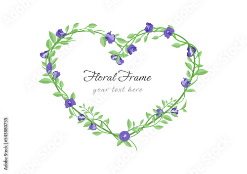 butterfly pea flower heart frame isolated on transparency background