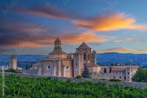 Royal Abbey of Santa Maria de Poblet, cistercian monastery, Catalonia, Spain