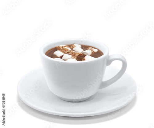 ココア イラスト リアル マシュマロ