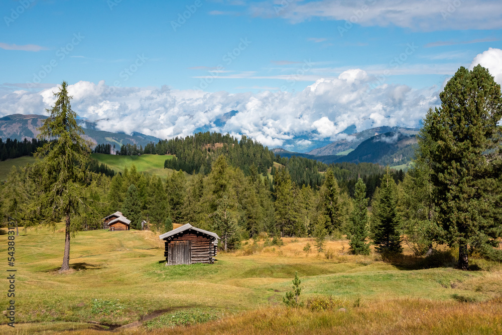 Typical alp with a hay shed in the Dolomite Alps in the Fanes Sennes Prags Nature Park, South Tirol