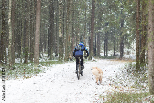 A man rides a bicycle in the forest in winter.Snowfall in winter.