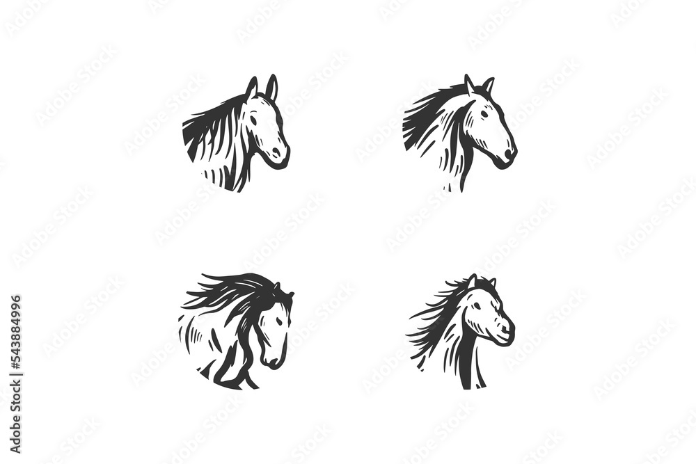 Obraz premium head horse hand drawn