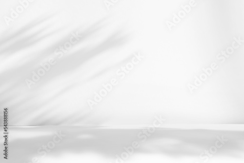 Abstract white studio background for product presentation. Empty room with shadows of window and flowers and palm leaves . 3d room with copy space. Summer concert. Blurred backdrop.