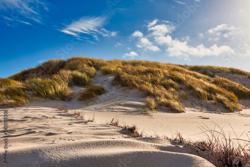 Amrum sand dunes on the beach in autumn
