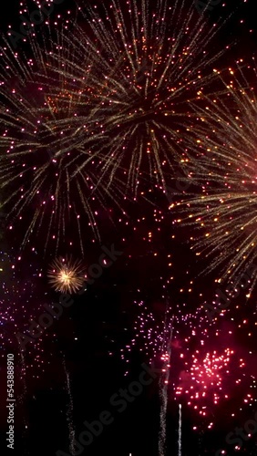Firework in the night sky, vertical firework.