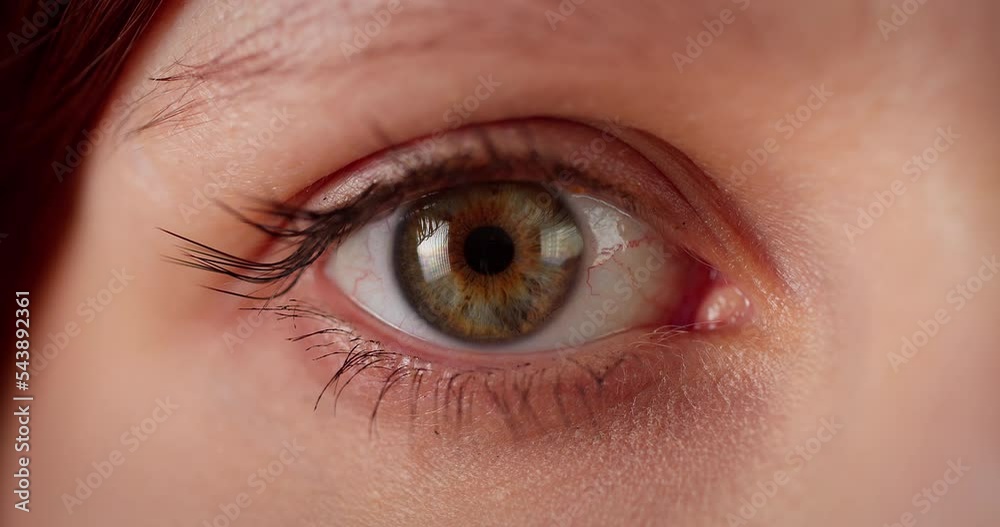 Beautiful woman eyes opening while looking at camera. Macro shot Beautiful woman eyes opening while looking at camera. Macro shot