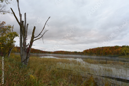 Maplewood State Park