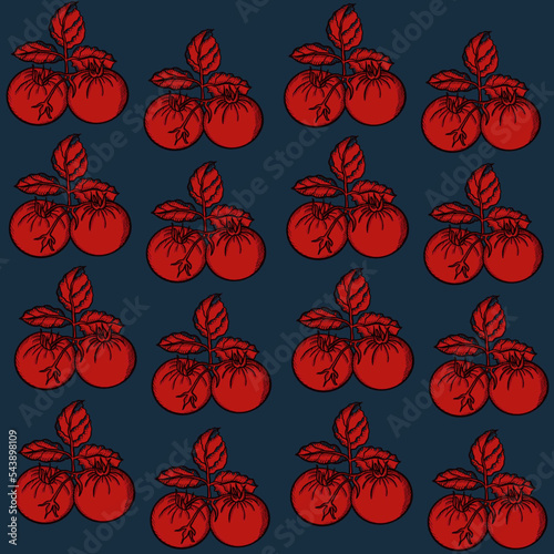 tomatoes,vegetables,botany,vegans, leaves, agriculture, shop supplies, food, food, ingredients, health, proper nutrition tomatoes,vegetables,botany,vegans, leaves, agriculture, shop supplies, food, fo