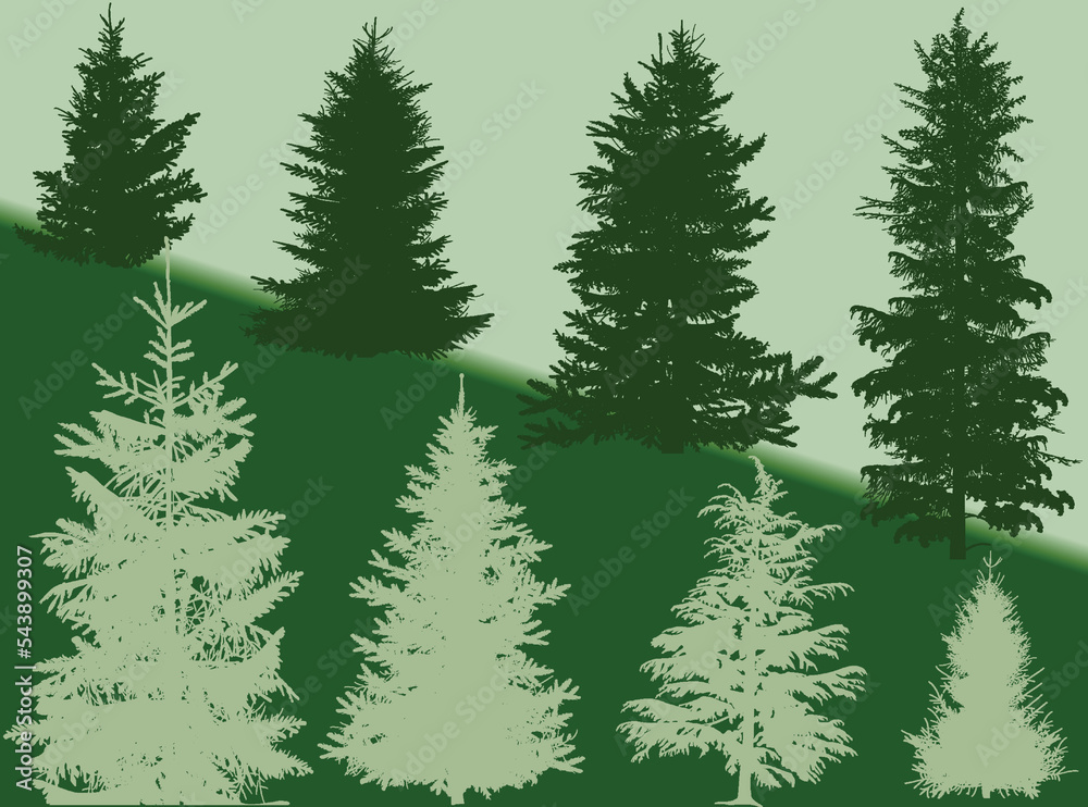 fir eight silhouettes on green background