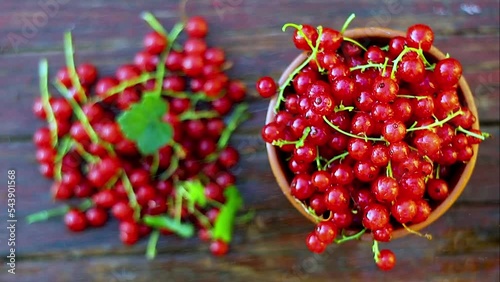 red currants in a pot and a handful on a table with green leaves in blur pouring water from a diffuser, with water drops on the berries top view