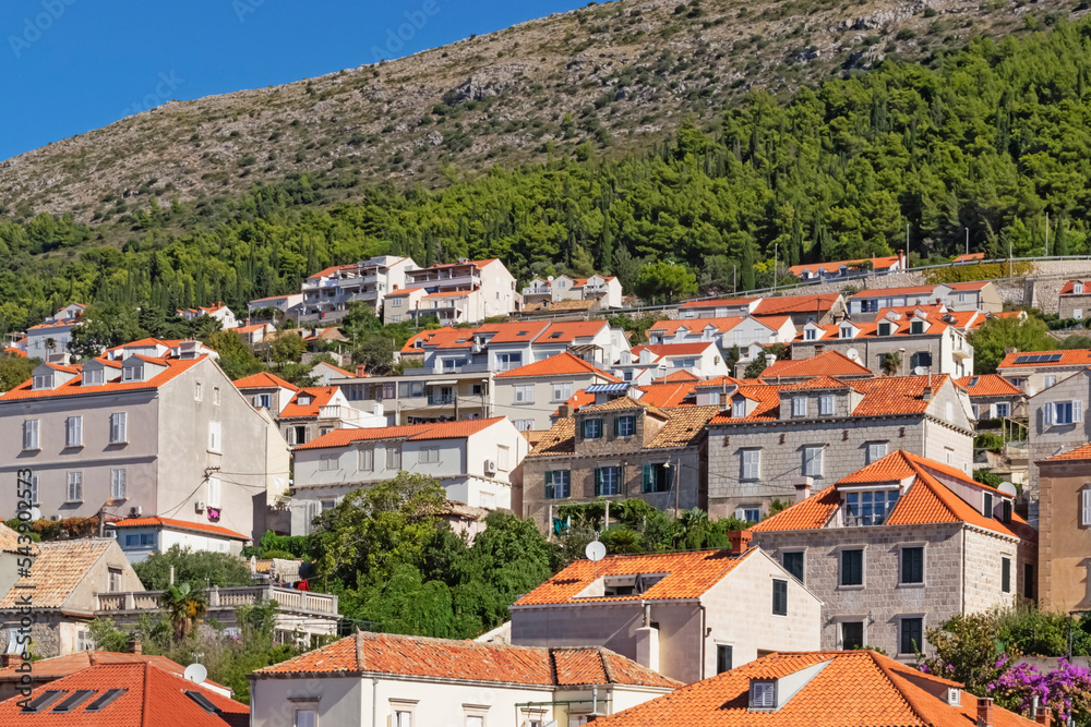 Tiled roofs of residential buildings and small gardens densely packed on slopes of hills in Dubrovnik, Croatia seen from city wall, illustrating modern Mediterranean urban landscape and relaxed living