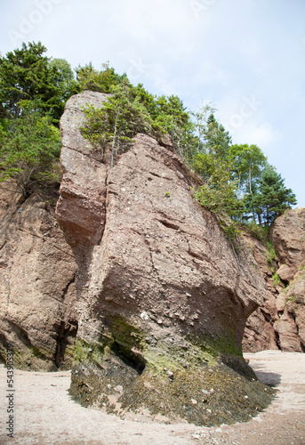 Hopewell Rock Park During The Low Tide