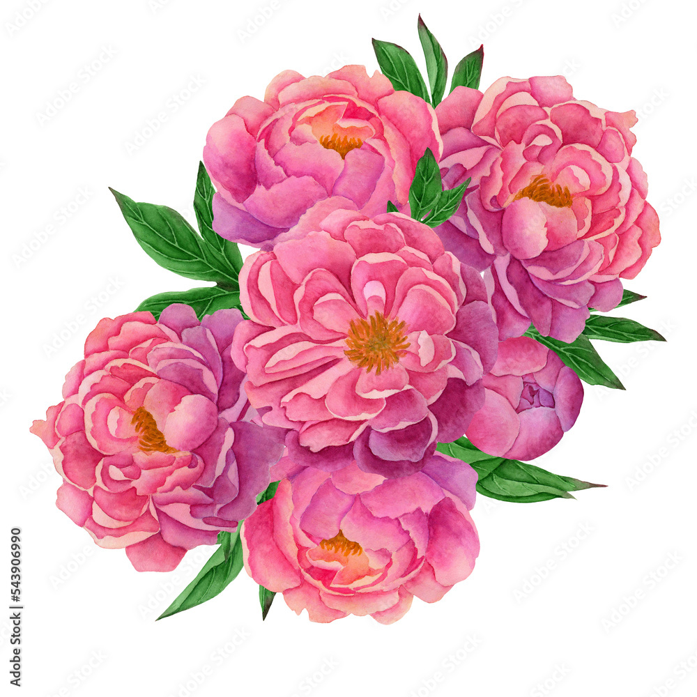 composition with peony flowers and leaves.