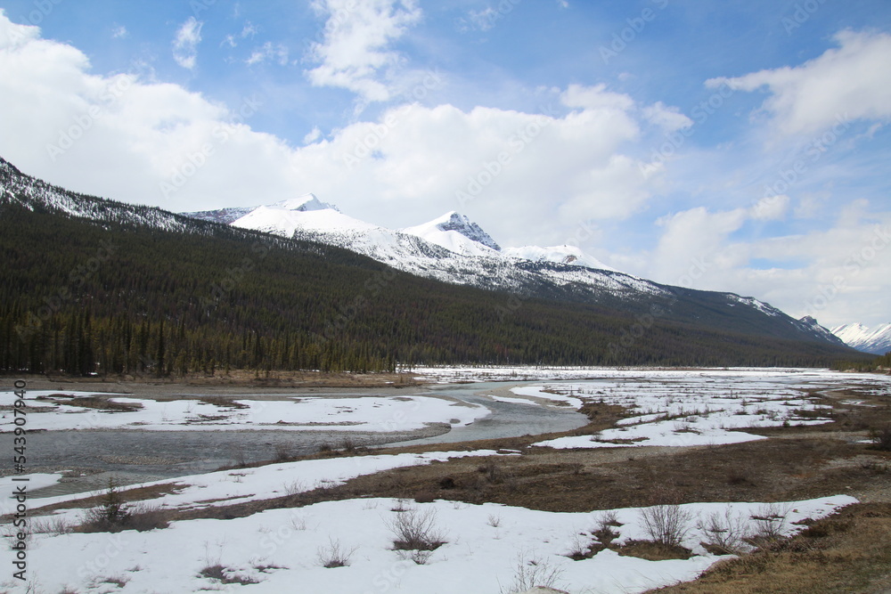 Winter On The Land, Jasper National Park, Alberta Winter On The Land, Jasper National Park, Alberta