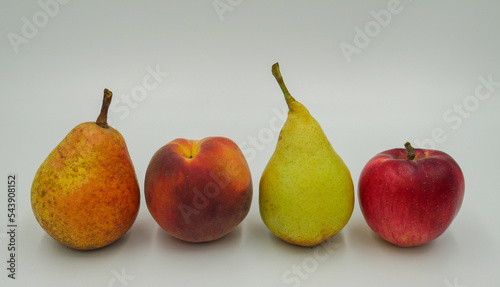 Autumn orchard fruits in a line